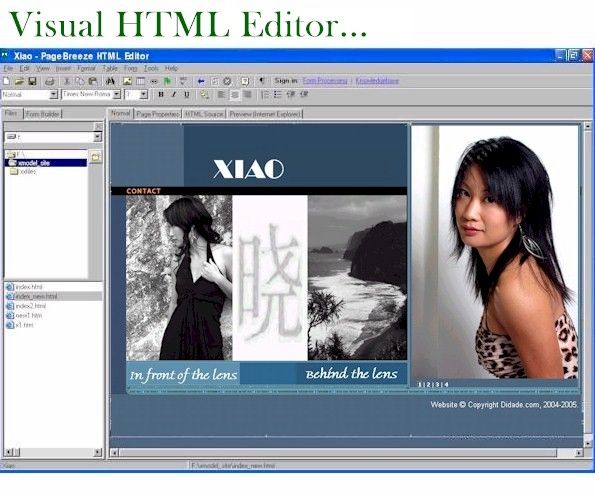 Um editor de HTML simples